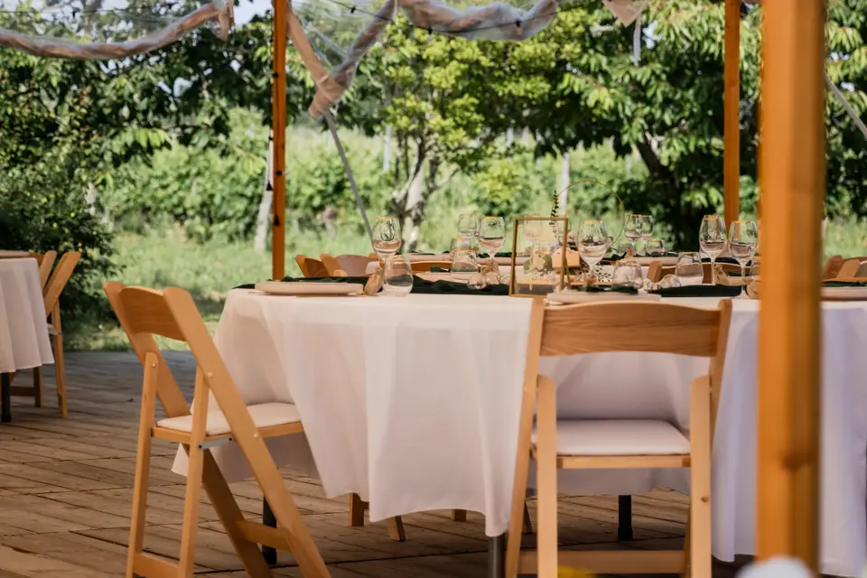 Domaine Grand Piquecaillou — photo 7