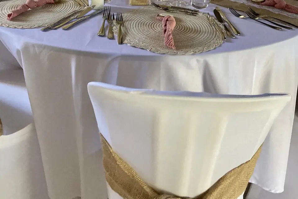 Château de Vesvres — photo 3