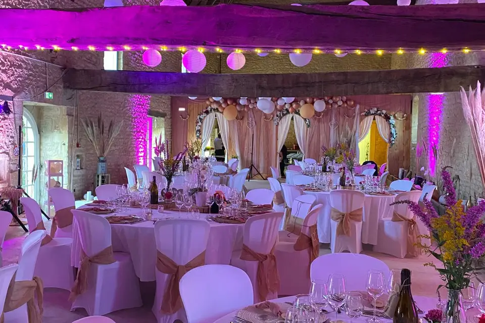 Château de Vesvres — photo 5