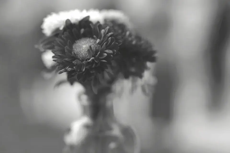 MTC Wedding Film — photo 8