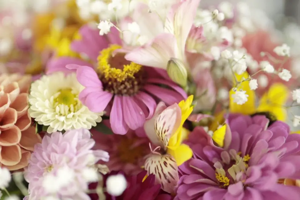 MTC Wedding Film — photo 2