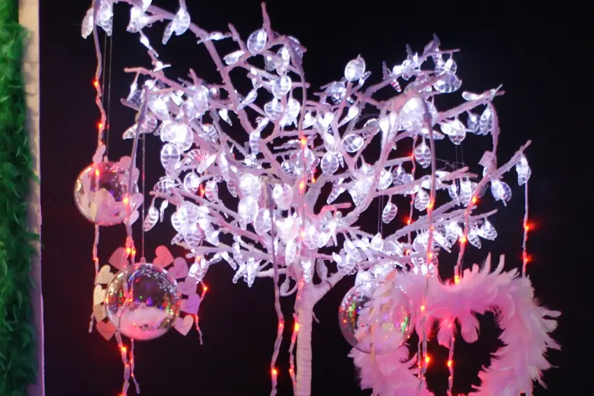 Crazyfête — photo 3