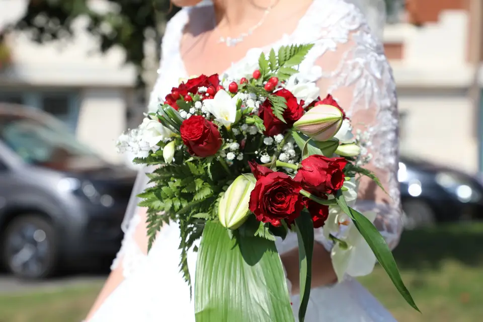 Les Rêveries de Steffy — photo 1