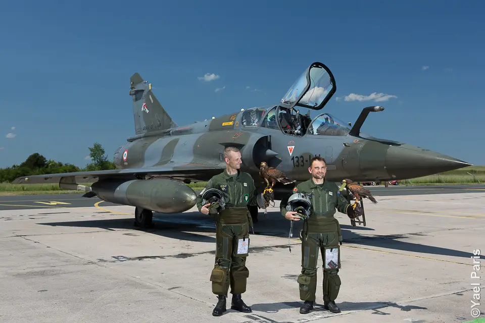 Falcon Temporis Fauconnerie — photo 8