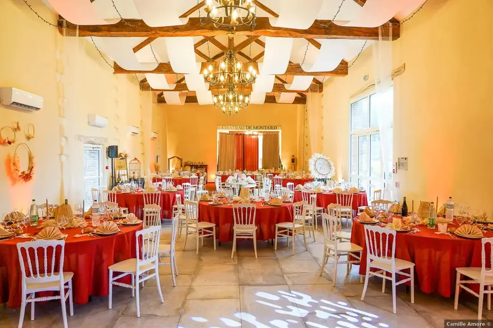 Château de Montard — photo 8