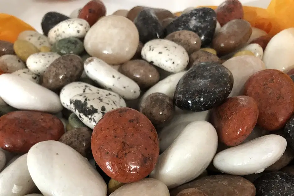 K. Délices de Provence — photo 4