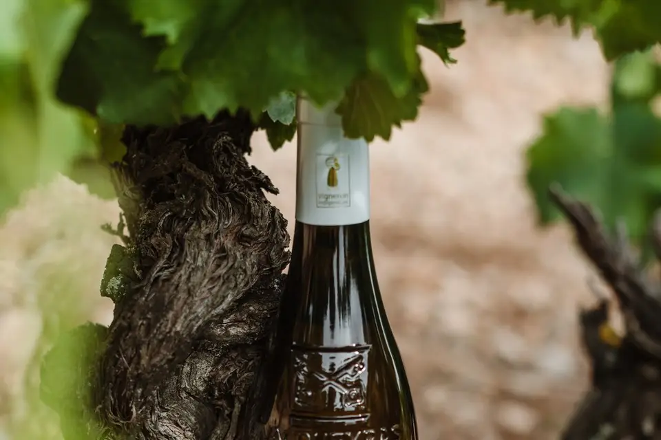 Domaine Chant des Loups — photo 5