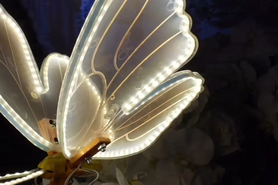 Emily Events — photo 1