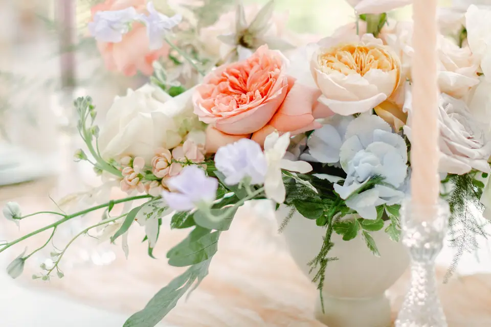 Sublime Instant — photo 1