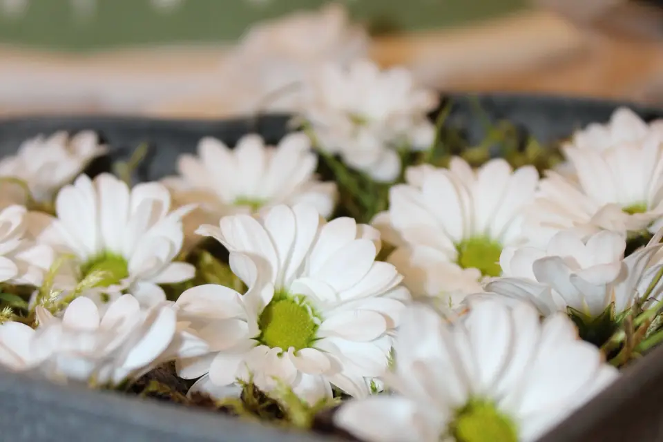 TC Organisation — photo 3