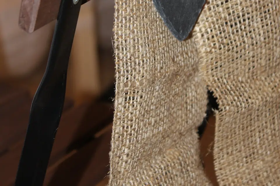 TC Organisation — photo 6