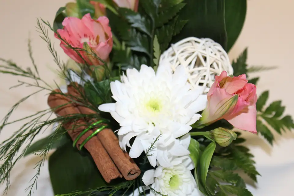 TC Organisation — photo 2