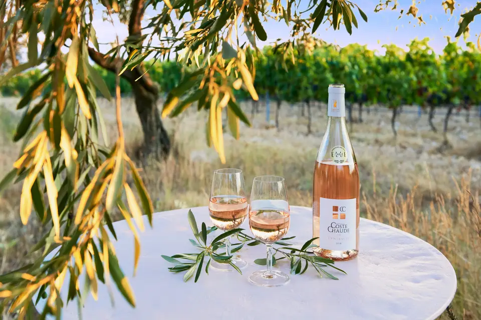 Domaine de Coste Chaude — photo 6