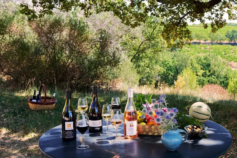 Domaine de Coste Chaude