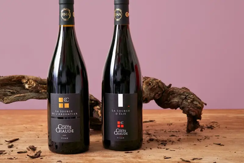 Domaine de Coste Chaude — photo 4