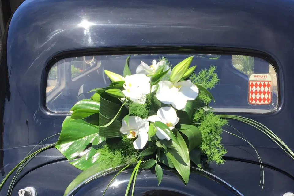 A Nos Racines — photo 7