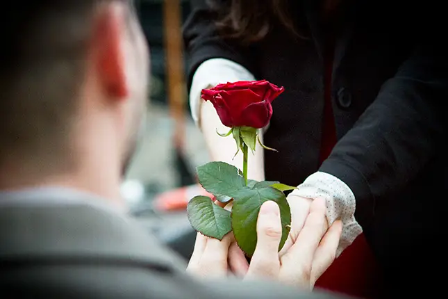 Videaste-Pro — photo 1