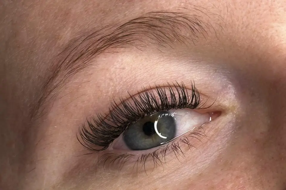 Beauté des cils ByCarla — photo 4