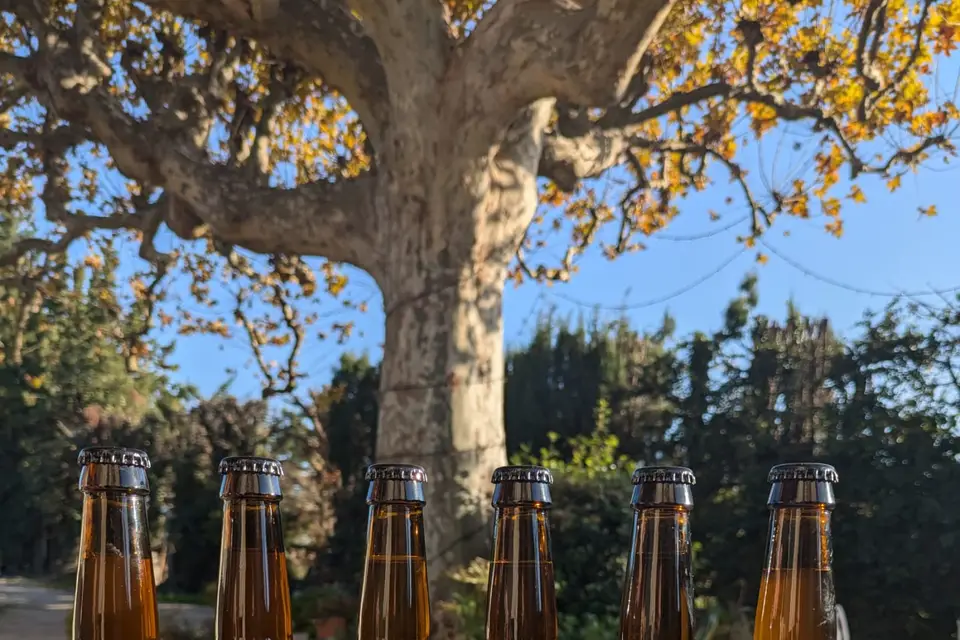 Soif de Provence — photo 7