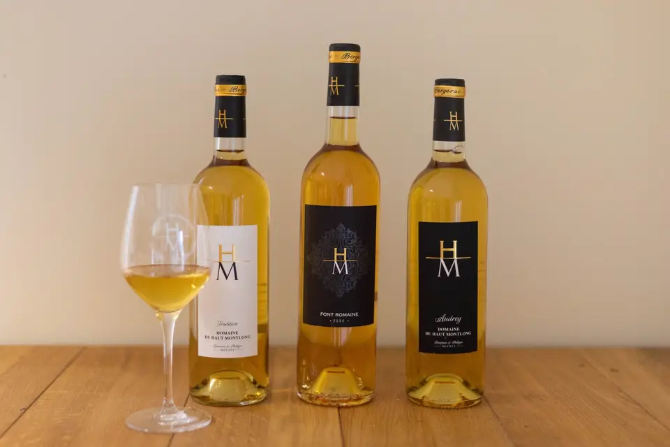 Haut Montlong Metifet — photo 4