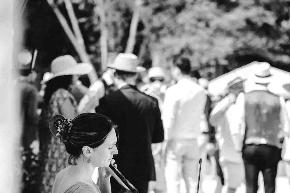 CelloPhonies — photo 6