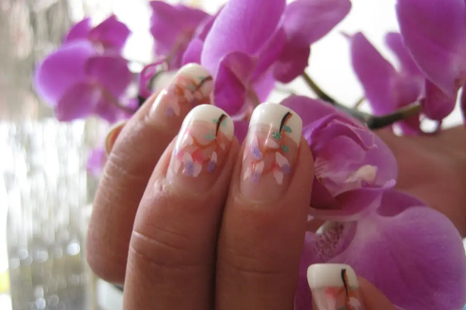 Edelweiss — photo 2