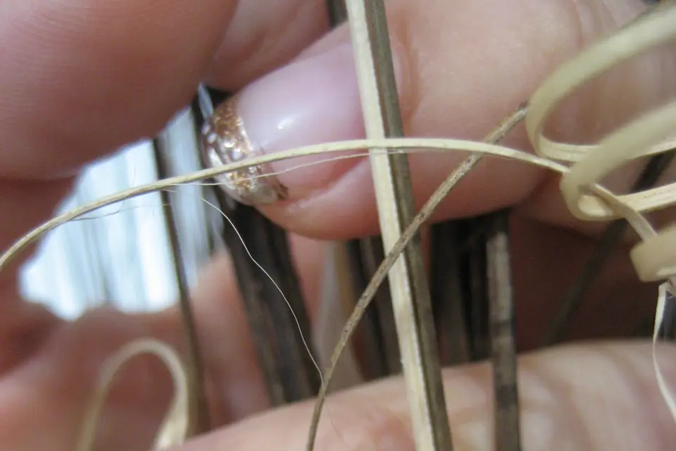 Edelweiss — photo 1