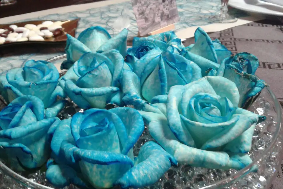 Top Deco 83 — photo 6