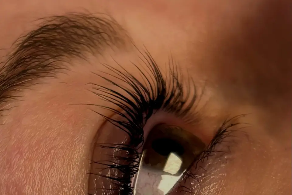 Victoria’s Beauty — photo 4