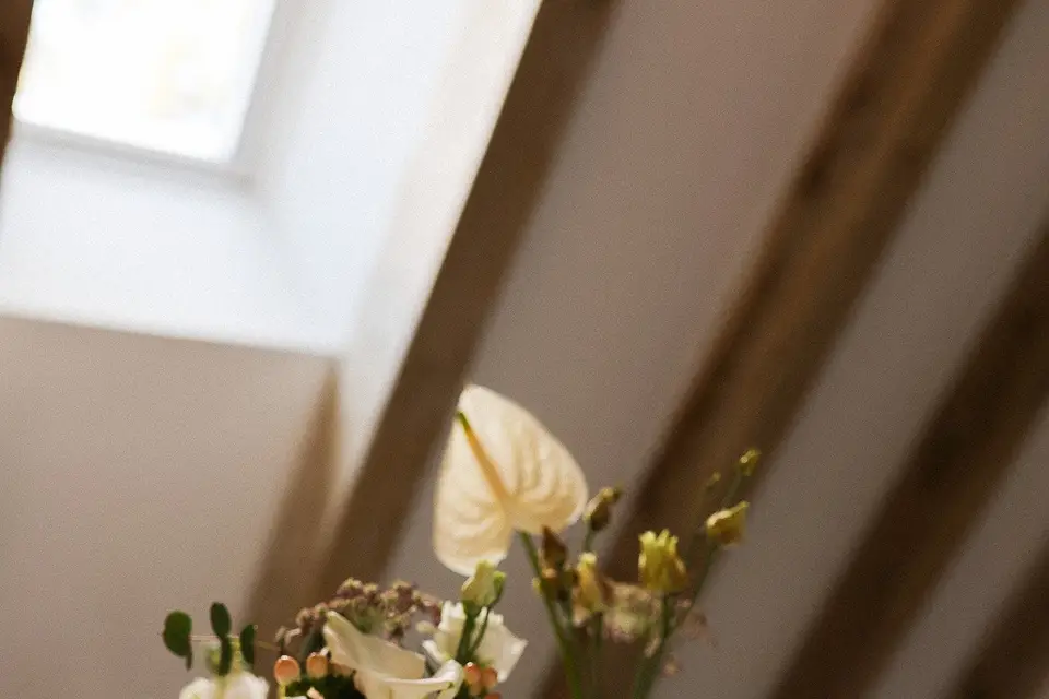 Atelier Ombeline — photo 5