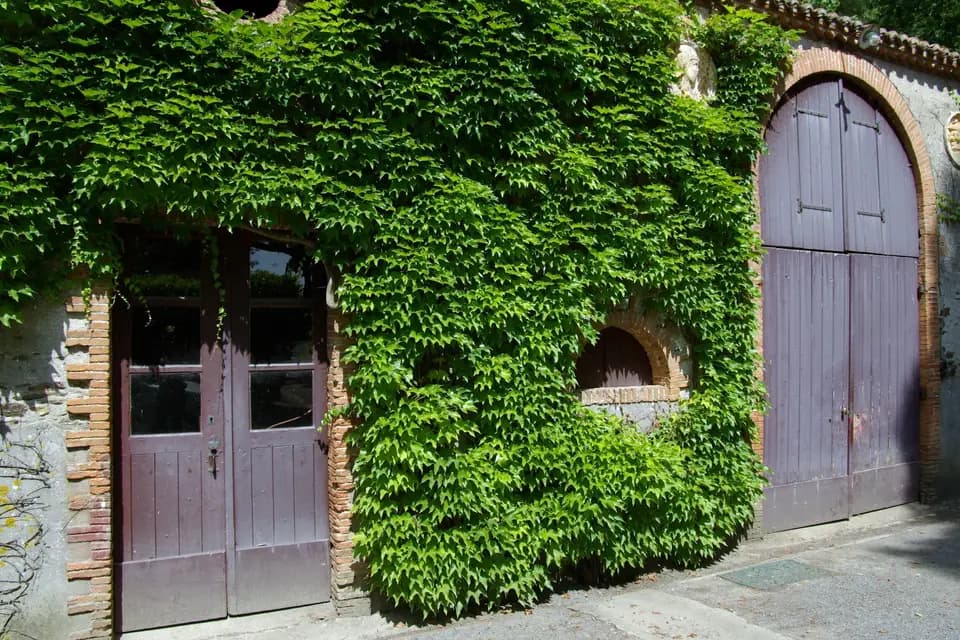 Château de Cassemichère — photo 7