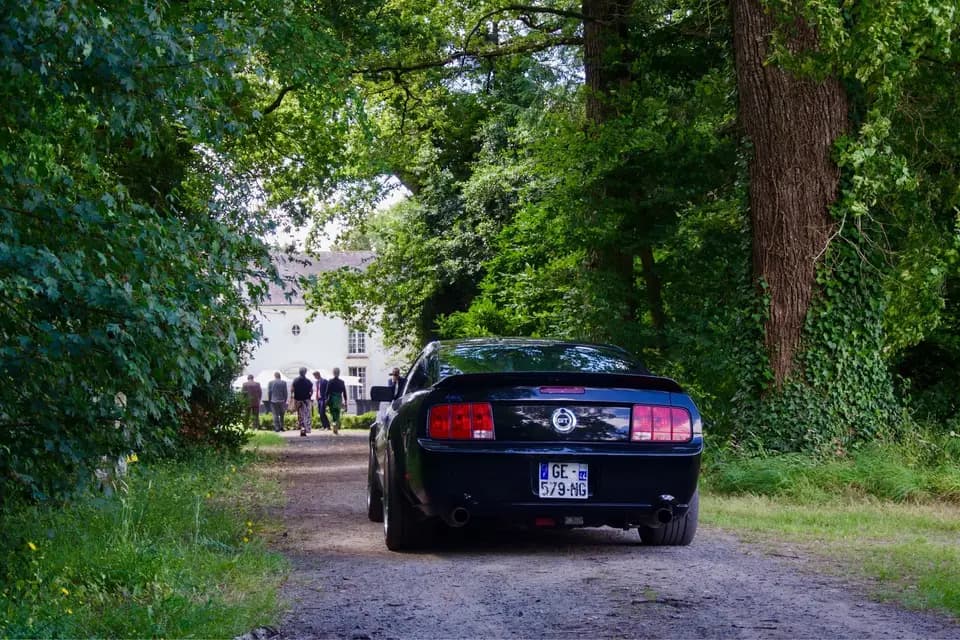 Château de Cassemichère — photo 5