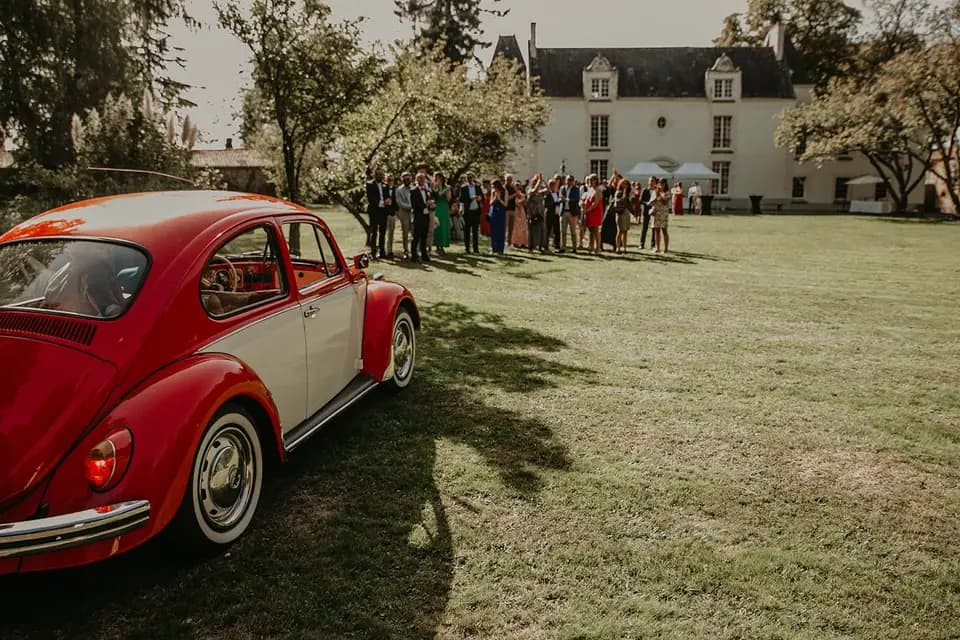 Château de Cassemichère — photo 6