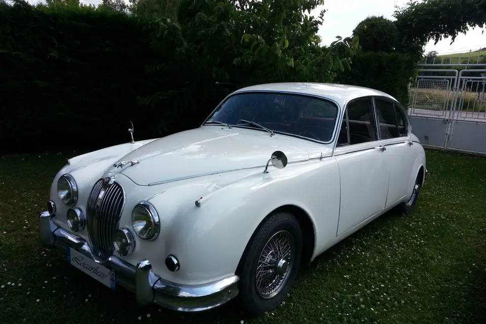 Locarluxe — photo 3