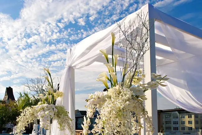 Pivonia Designs — photo 6