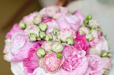 Pivonia Designs — photo 4