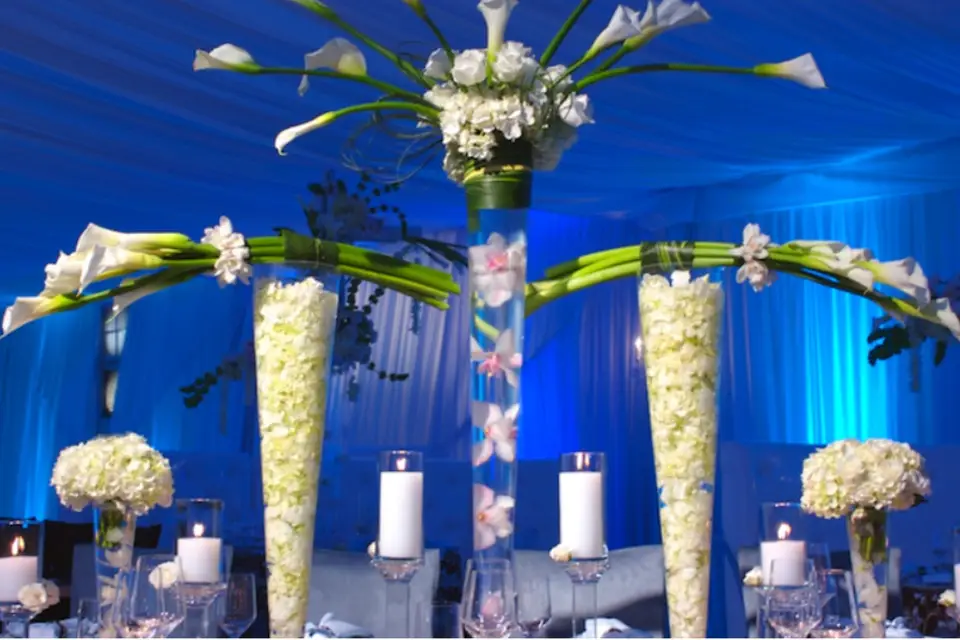 Pivonia Designs — photo 5