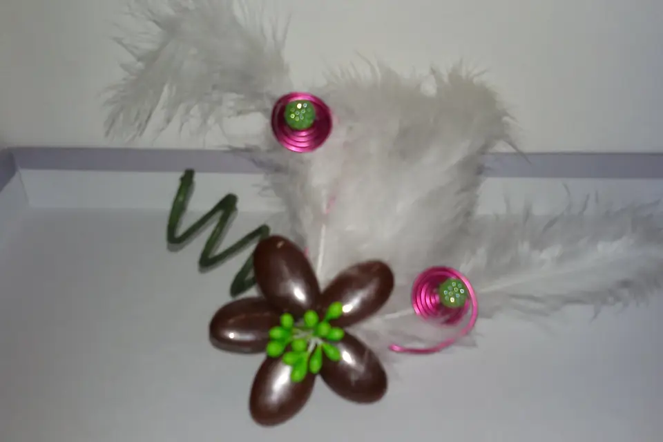 Nelly Dragées — photo 7