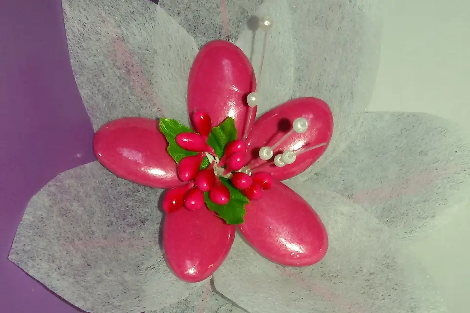 Nelly Dragées — photo 8