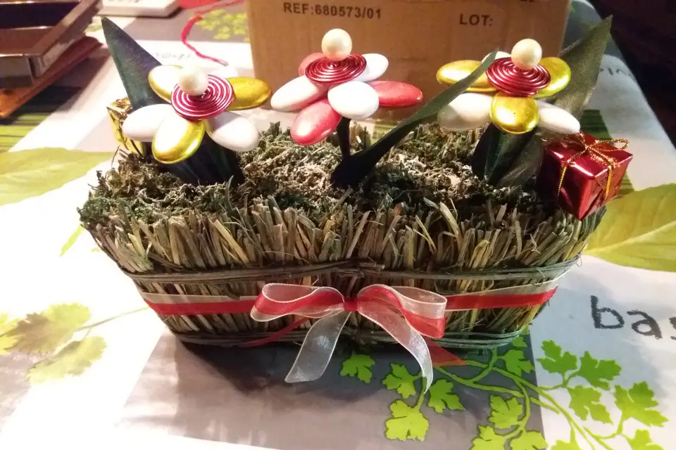 Nelly Dragées — photo 5