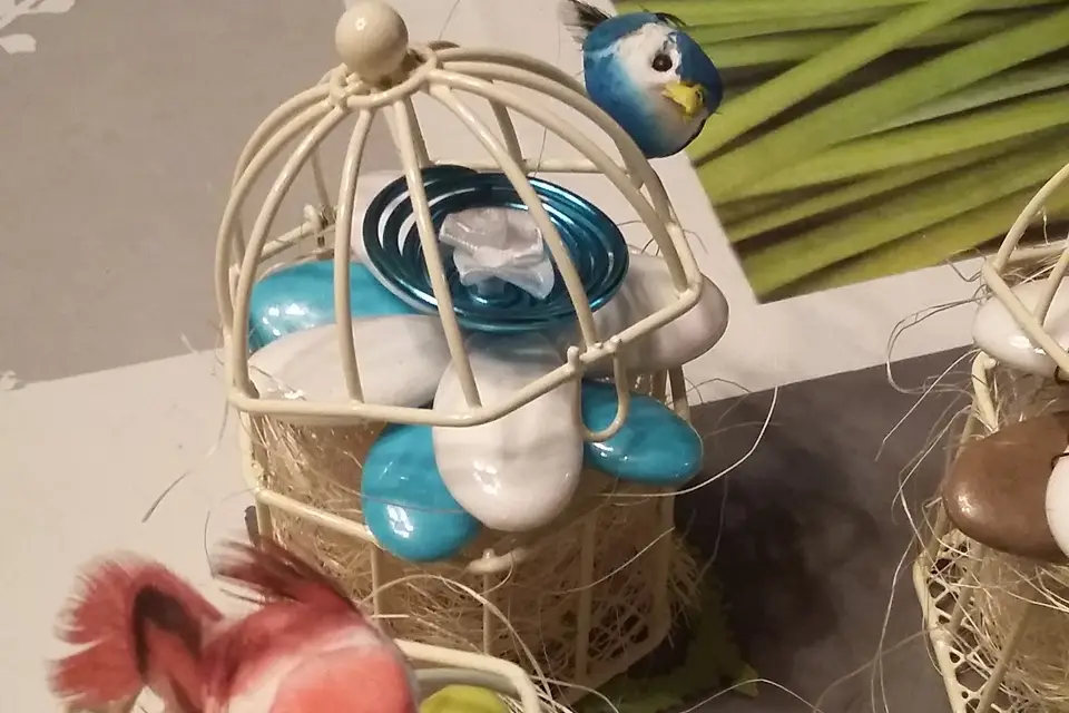 Nelly Dragées — photo 6