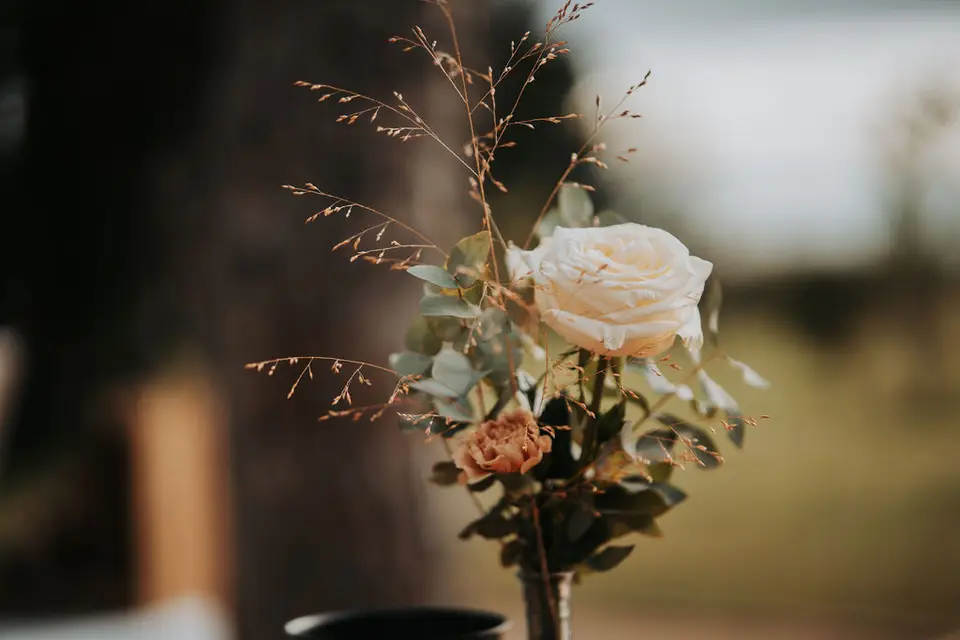 Simone & Anna — photo 8