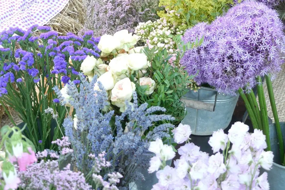 Sabine Muret — photo 6