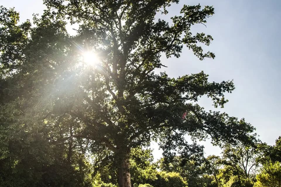 Château de la Rousselière — photo 7