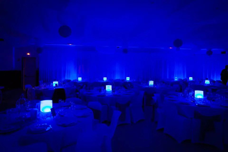 Les Bambous — photo 6