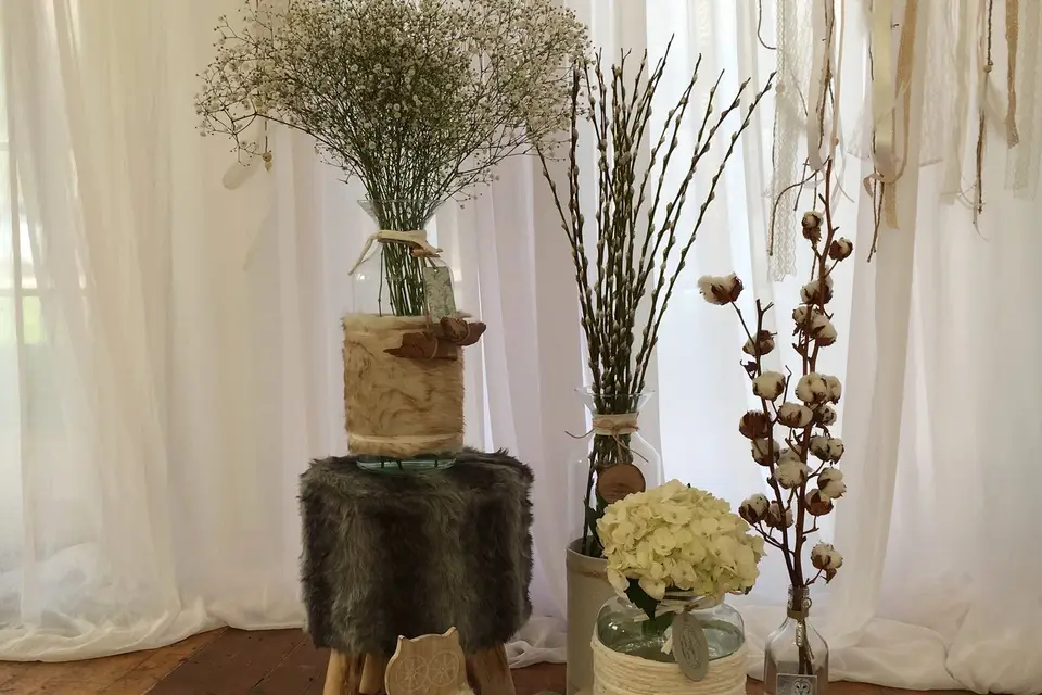 Ozéo Décor — photo 2