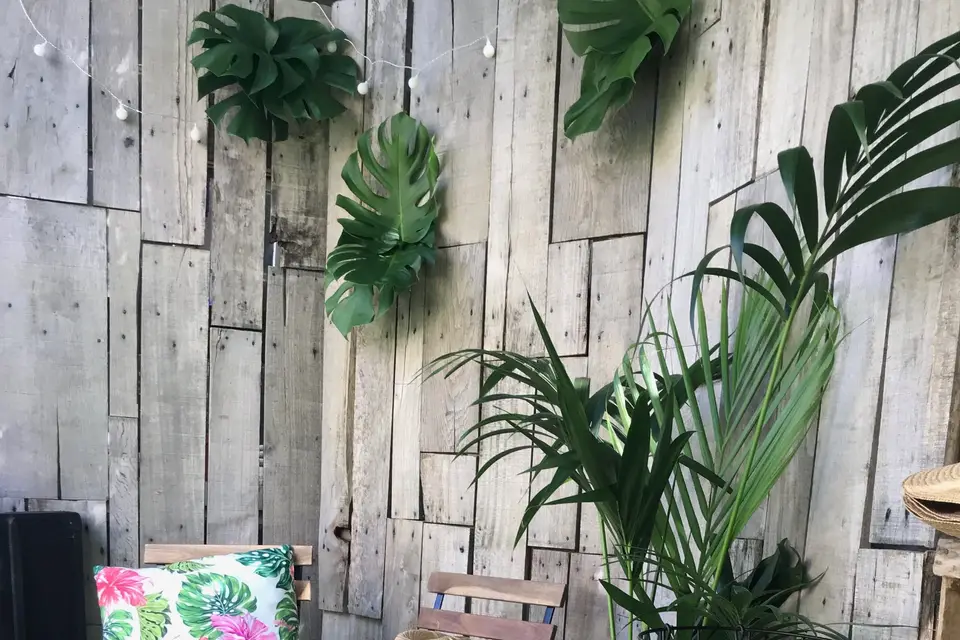 Ozéo Décor — photo 6