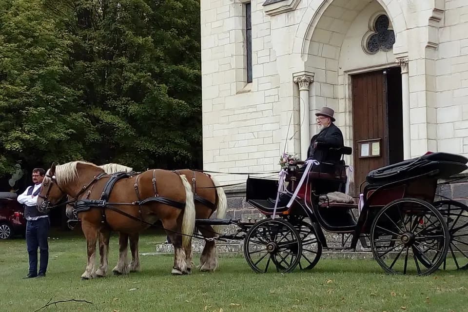 Attelage du Moulin — photo 8