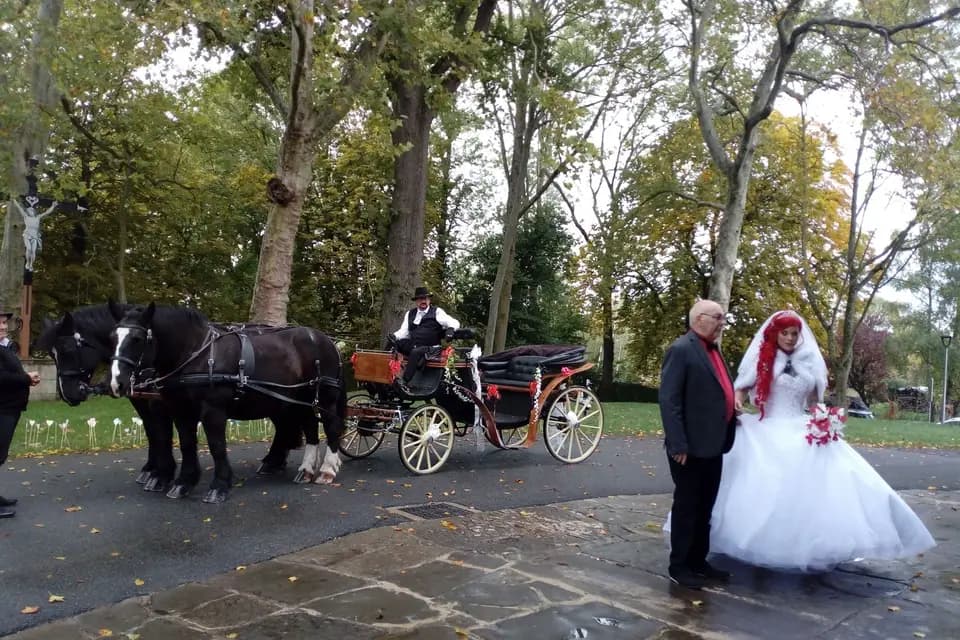 Attelage du Moulin — photo 1