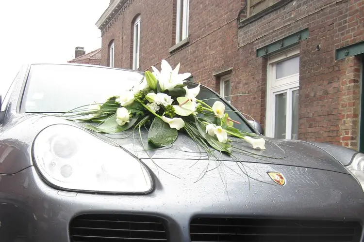 Ephémère — photo 2